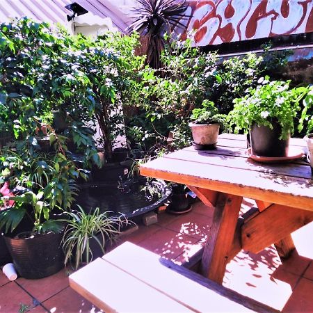 Asylum Sydney Backpackers Hostel Exterior foto