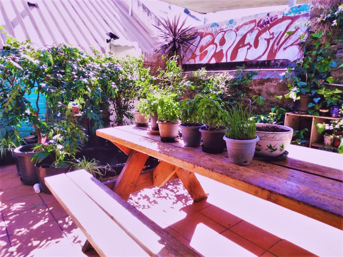Asylum Sydney Backpackers Hostel Exterior foto